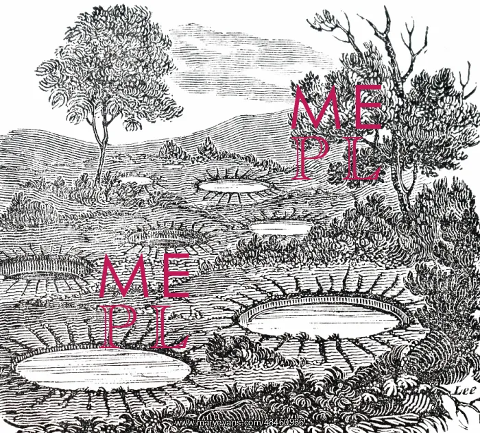 : An engraving depicting circular hollows caused : An engraving depicting circular hollows caused