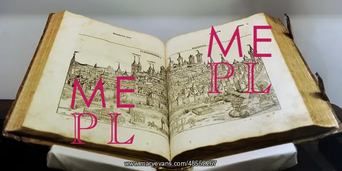 : Engraving depicting the city of Nuremberg. Nuremberg Chronic : Engraving depicting the city of Nuremberg. Nuremberg Chronic