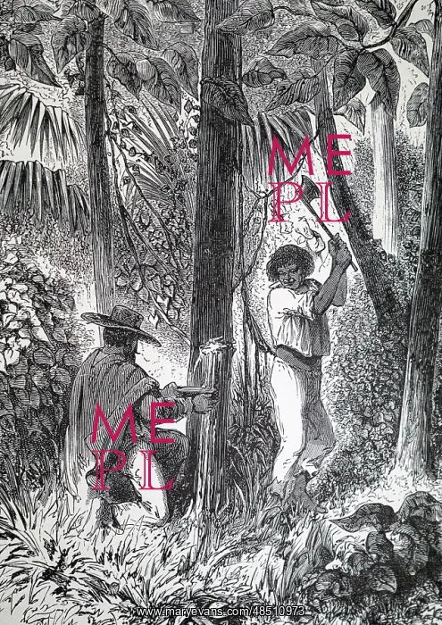 : Engraving depicting the collection of latex from : Engraving depicting the collection of latex from