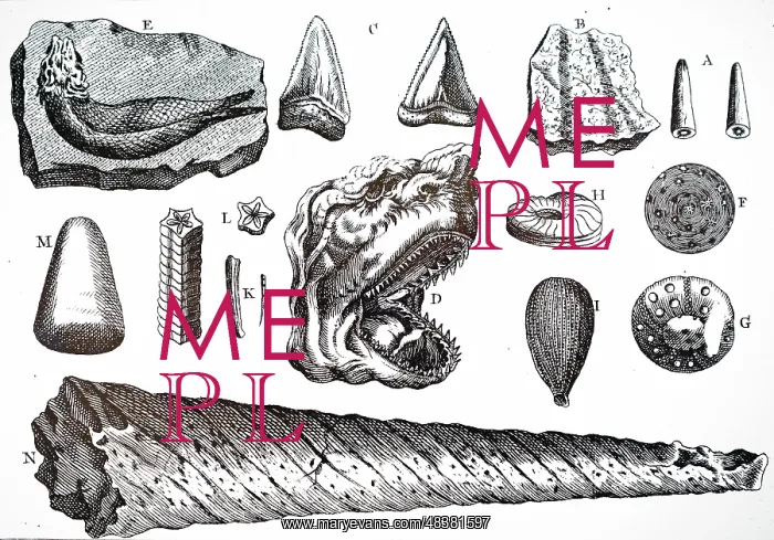 : An engraving depicting a collection of various : An engraving depicting a collection of various