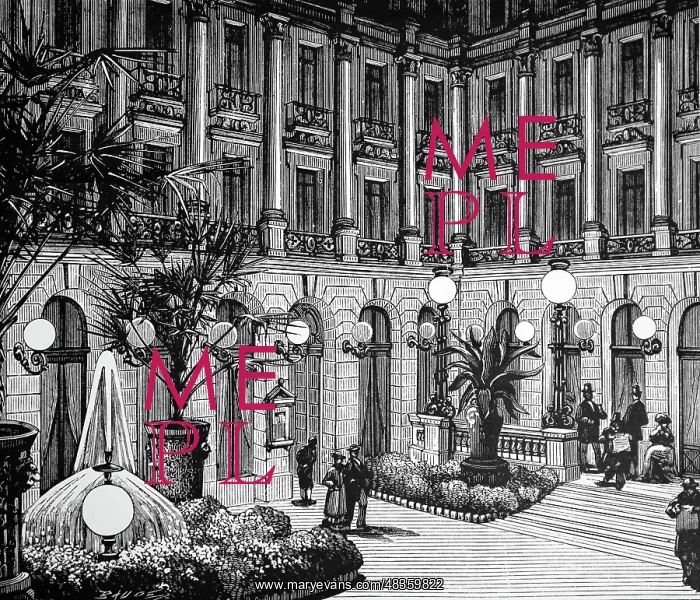 : Engraving depicting the courtyard and fountain : Engraving depicting the courtyard and fountain