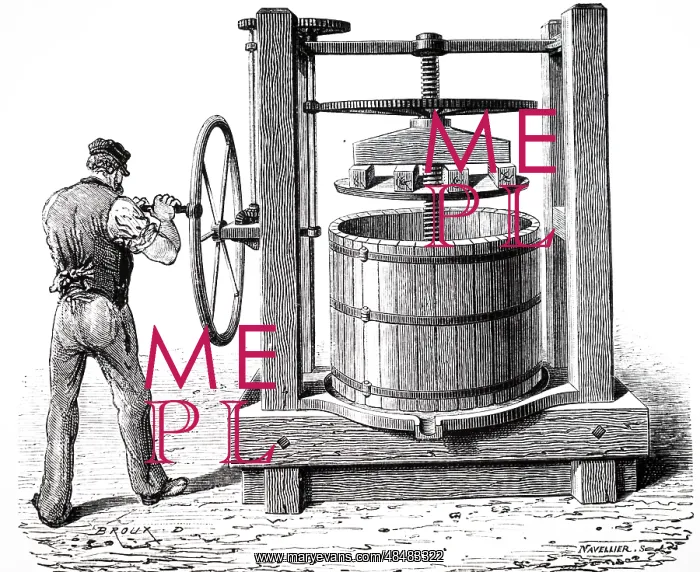: An engraving depicting the crushing grapes for : An engraving depicting the crushing grapes for