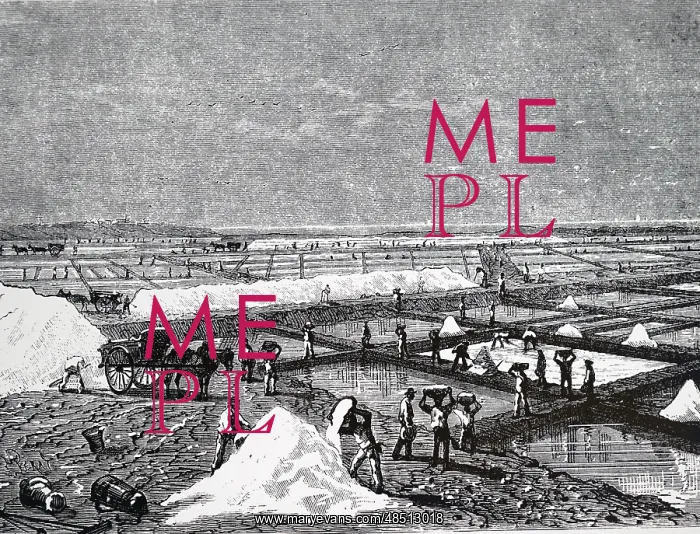 : An engraving depicting the digging of salt from salt pans : An engraving depicting the digging of salt from salt pans