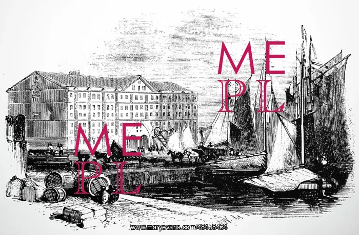 : Engraving depicting the Duke's Dock, Liverpool : Engraving depicting the Duke's Dock, Liverpool
