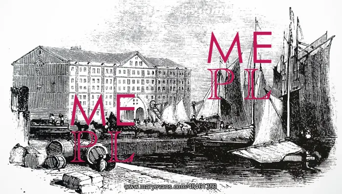 : Engraving depicting the Duke's Dock, Liverpool : Engraving depicting the Duke's Dock, Liverpool