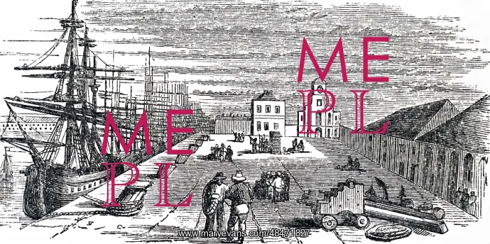 : Engraving depicting the East India Dock : Engraving depicting the East India Dock