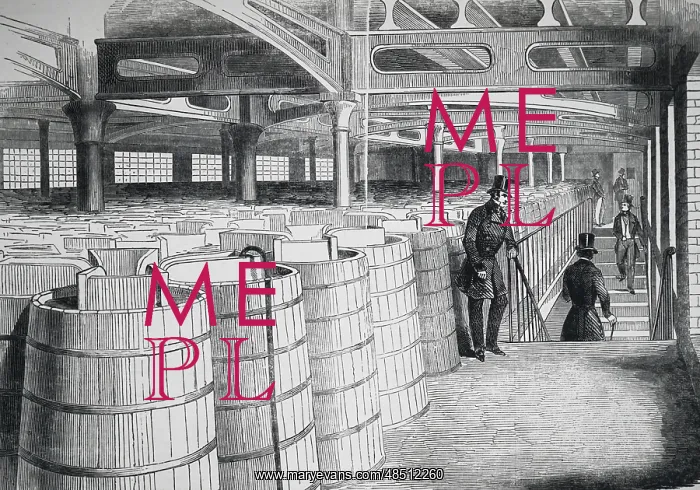 : An engraving depicting the fermenting tanks : An engraving depicting the fermenting tanks