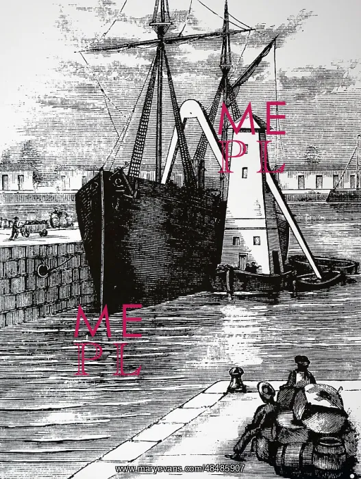 : Engraving depicting floating grain elevators in Chicago : Engraving depicting floating grain elevators in Chicago