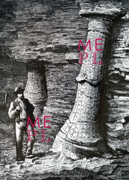 : An engraving depicting a fossil tree trunk in a coal mine : An engraving depicting a fossil tree trunk in a coal mine