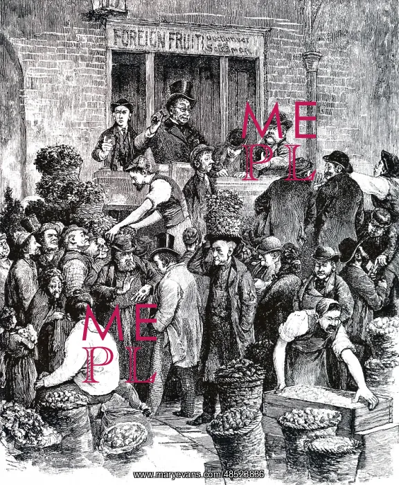 : An engraving depicting a fruit auction : An engraving depicting a fruit auction
