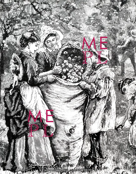  : An engraving depicting the gathering apples for cider. 1877