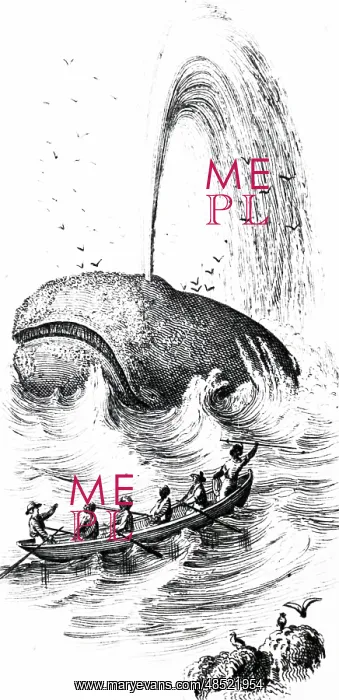 : An engraving depicting the harpooning of a sperm whale : An engraving depicting the harpooning of a sperm whale