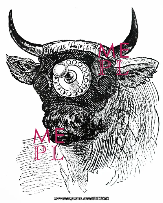 : An engraving depicting a humane cattle slaughtering device : An engraving depicting a humane cattle slaughtering device