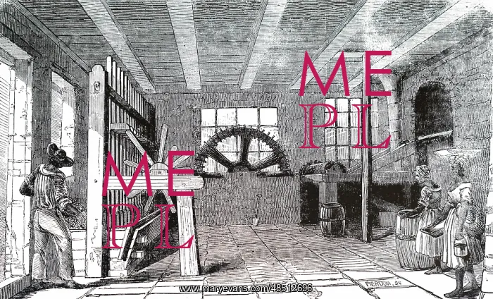 : An engraving depicting a mill for husking cocoa beans : An engraving depicting a mill for husking cocoa beans