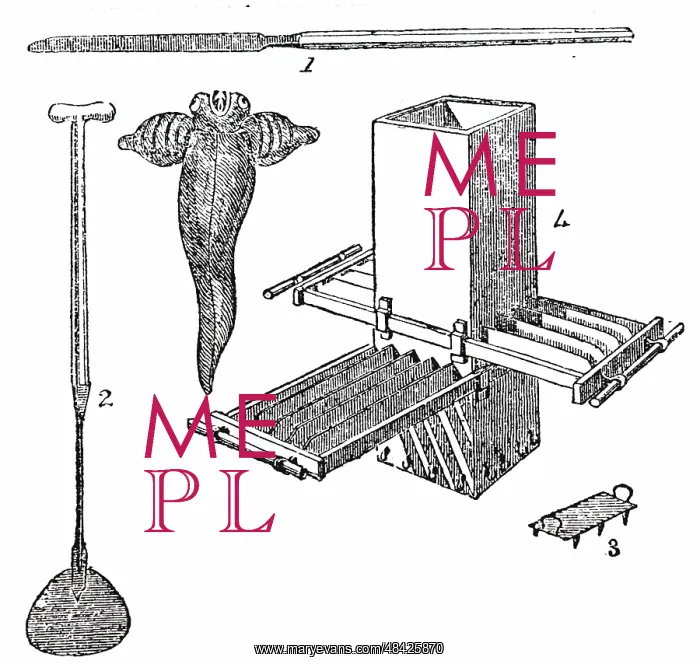 : An engraving depicting the implements used in : An engraving depicting the implements used in