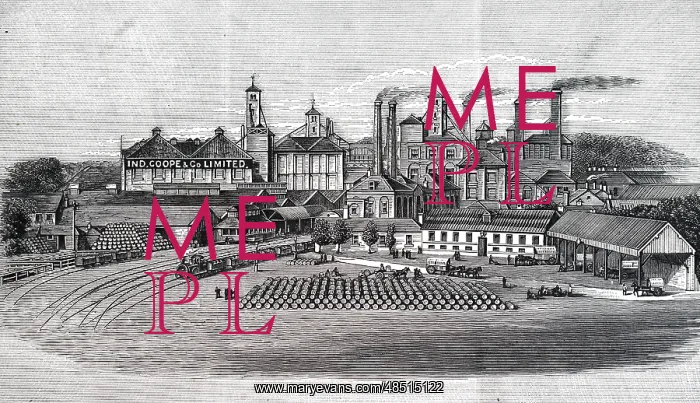 : An engraving depicting Ind Coope & Co's brewery : An engraving depicting Ind Coope & Co's brewery