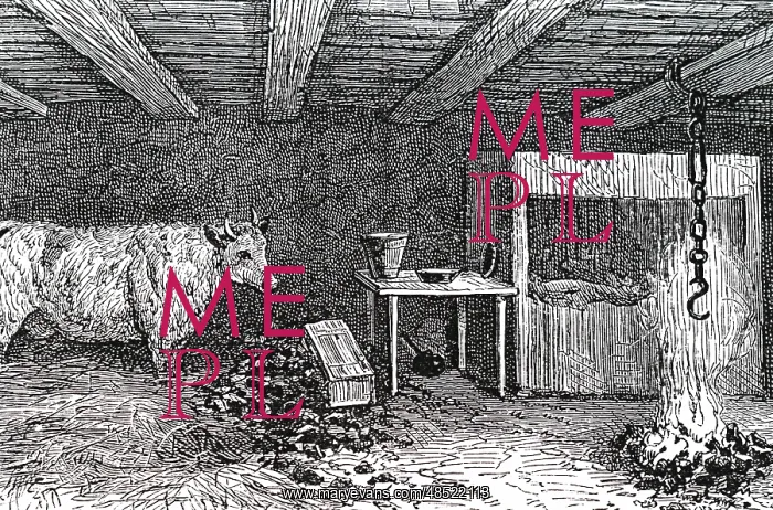 : Engraving depicting the interior of a crofter's hut : Engraving depicting the interior of a crofter's hut
