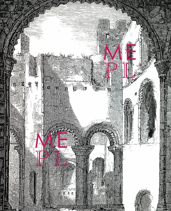 : An engraving depicting the interior of remains : An engraving depicting the interior of remains