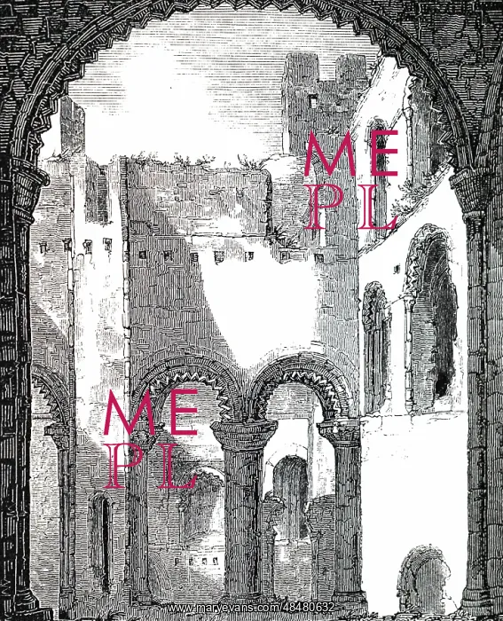 : An engraving depicting the interior of remains : An engraving depicting the interior of remains