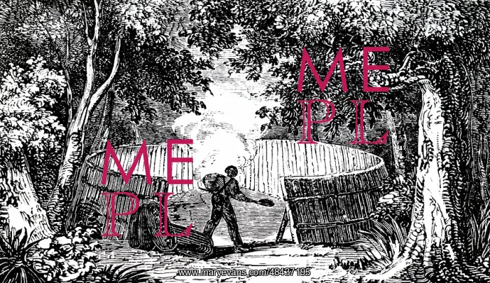  : An engraving depicting the Kentish charcoal burner at work