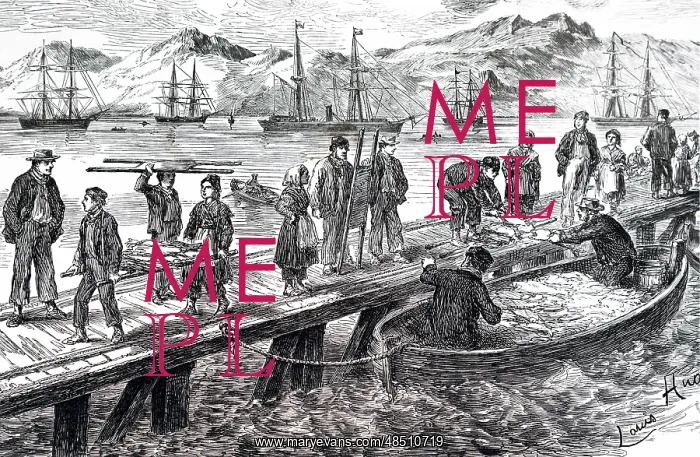 : An engraving depicting the landing of dried cod : An engraving depicting the landing of dried cod