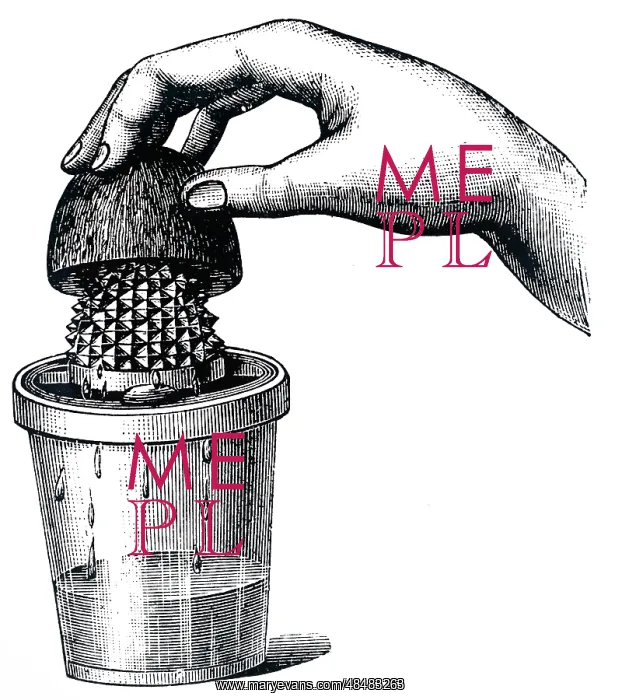 : An engraving depicting a lemon squeezer : An engraving depicting a lemon squeezer