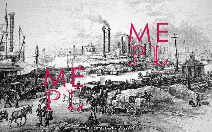 : Engraving depicting the Levee, New Orleans