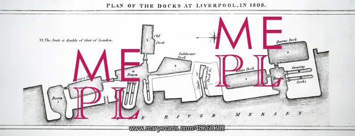 : Engraving depicting the Liverpool docks : Engraving depicting the Liverpool docks