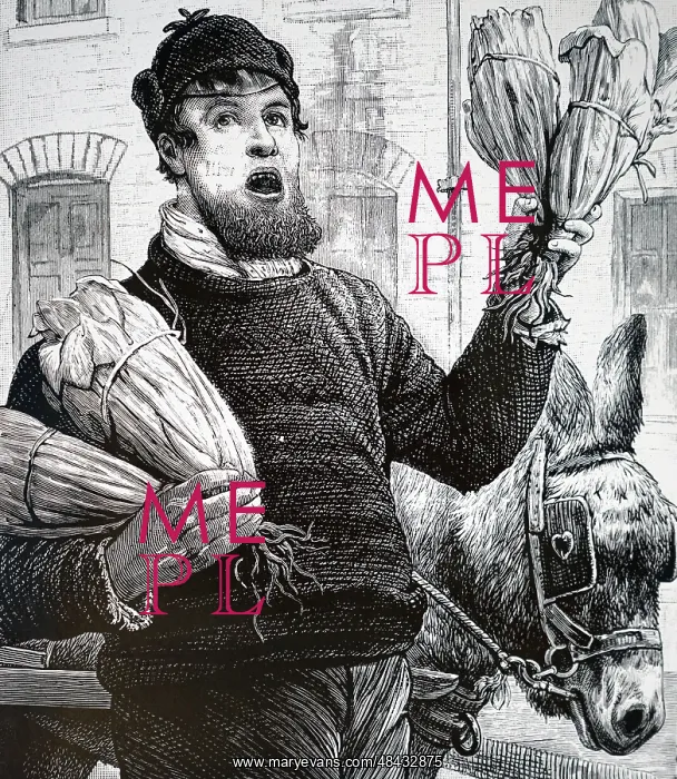 : Engraving depicting a London costermonger : Engraving depicting a London costermonger
