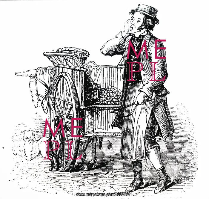  : Engraving depicting a London costermonger