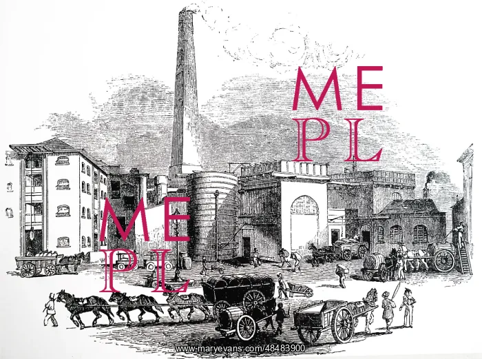 : An engraving depicting Octavius Smith & Co's distillery : An engraving depicting Octavius Smith & Co's distillery