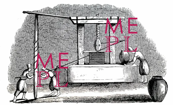 : An engraving depicting an olive press : An engraving depicting an olive press