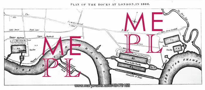  : Engraving depicting a plan of the docks at London in 1808