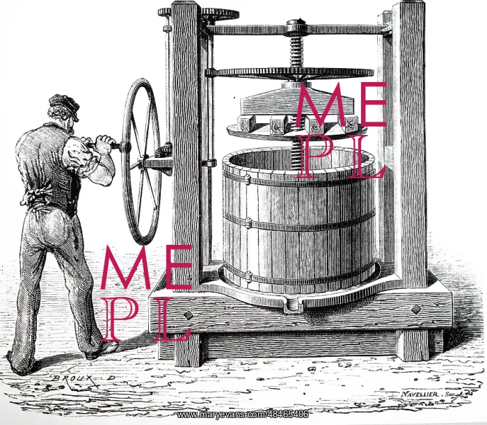 : An engraving depicting Press for crushing grapes : An engraving depicting Press for crushing grapes