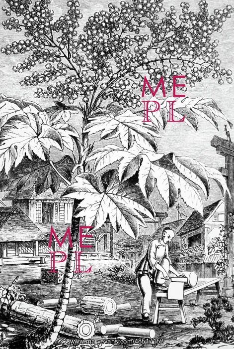 : Engraving depicting the process of making rice : Engraving depicting the process of making rice