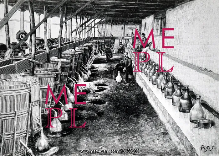 : An engraving depicting the process of making Rose Water : An engraving depicting the process of making Rose Water