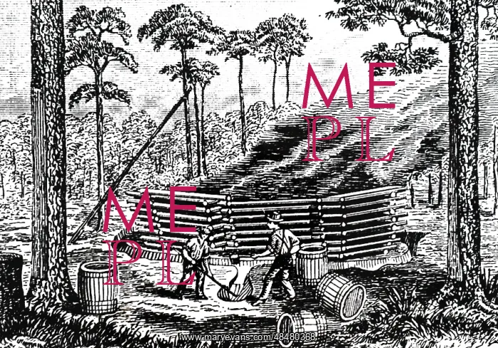: An engraving depicting the process of making turpentine : An engraving depicting the process of making turpentine