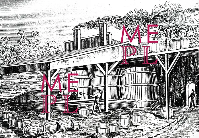 : An engraving depicting the process of making turpentine : An engraving depicting the process of making turpentine