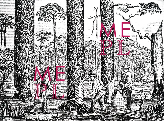 : An engraving depicting the process of making turpentine : An engraving depicting the process of making turpentine
