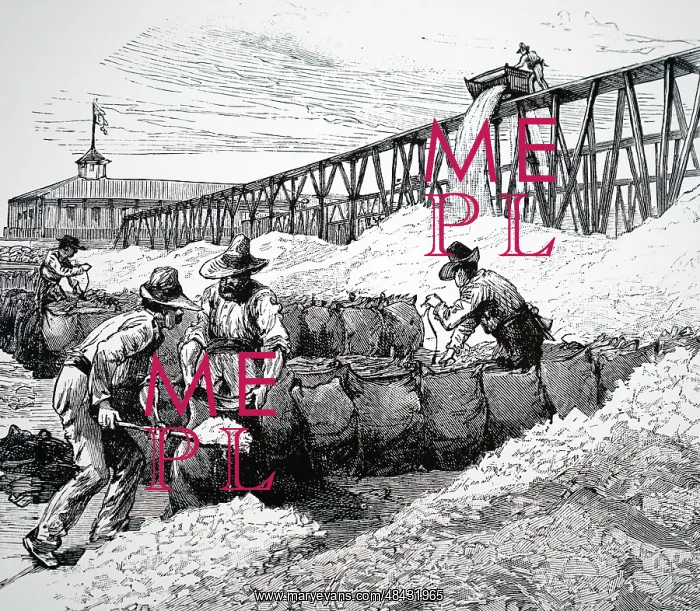 : Engraving depicting the process of putting nitrate : Engraving depicting the process of putting nitrate