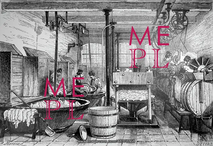 : Engraving depicting the process of tanning goatskins : Engraving depicting the process of tanning goatskins