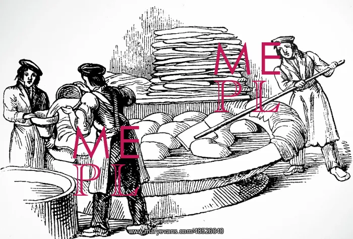 : Engraving depicting the process of tanning goatskins : Engraving depicting the process of tanning goatskins