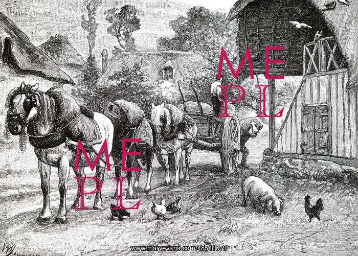 : An engraving depicting putting cider apples in store : An engraving depicting putting cider apples in store