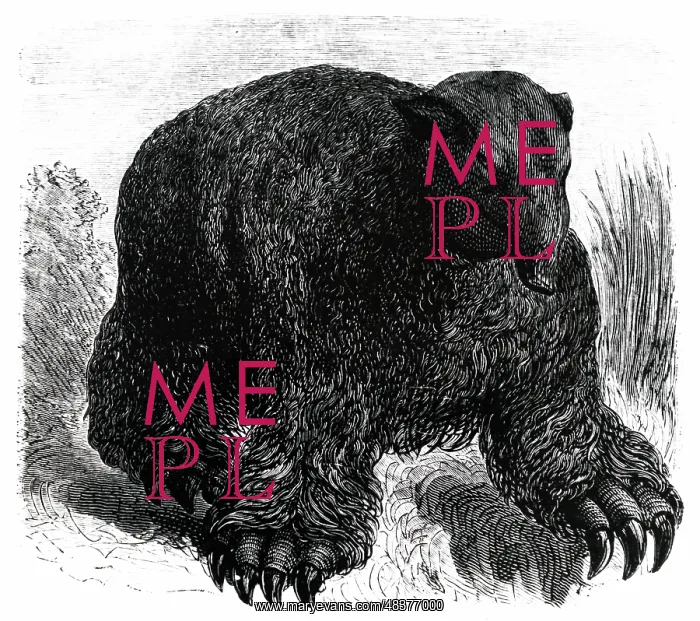 : An engraving depicting a reconstructed Megatherium : An engraving depicting a reconstructed Megatherium