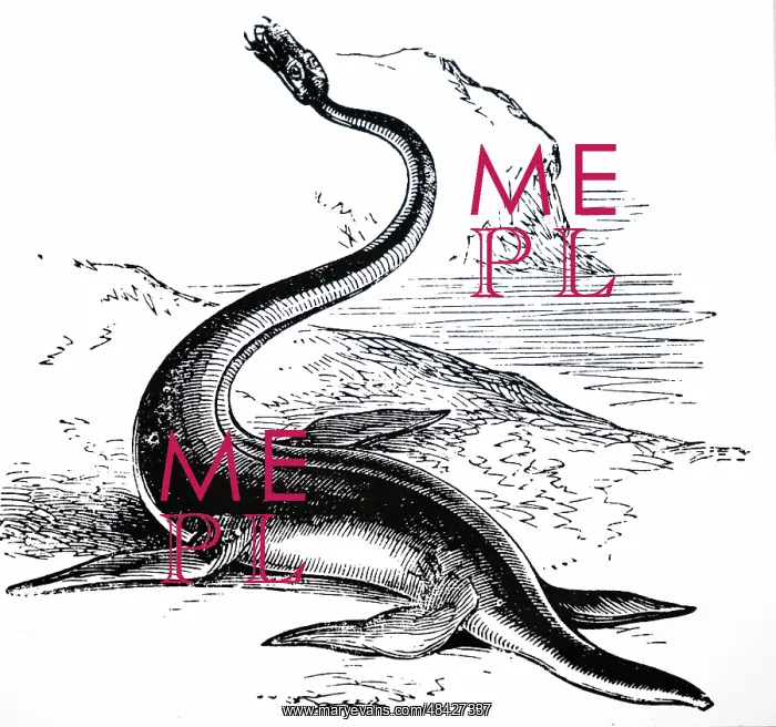 : An engraving depicting the reconstruction of a Plesiosaurus : An engraving depicting the reconstruction of a Plesiosaurus