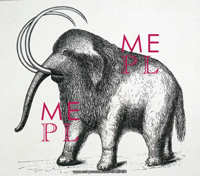: An engraving depicting a restored mammoth : An engraving depicting a restored mammoth