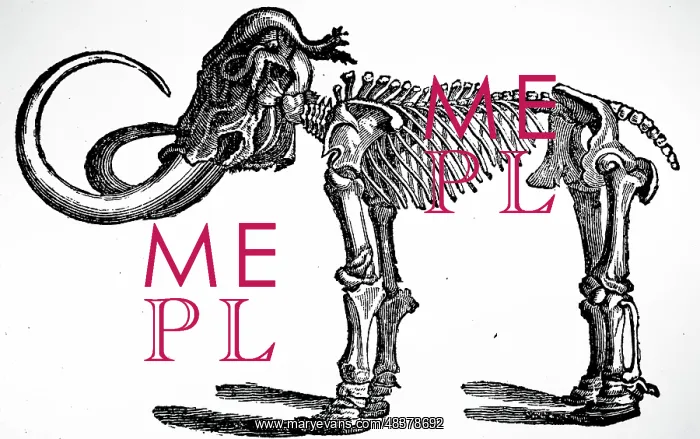 : An engraving depicting a restored mammoth skeleton : An engraving depicting a restored mammoth skeleton