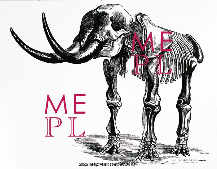 : An engraving depicting the restored skeleton of a Mastodon : An engraving depicting the restored skeleton of a Mastodon