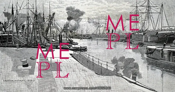 : Engraving depicting the Royal Albert Docks : Engraving depicting the Royal Albert Docks
