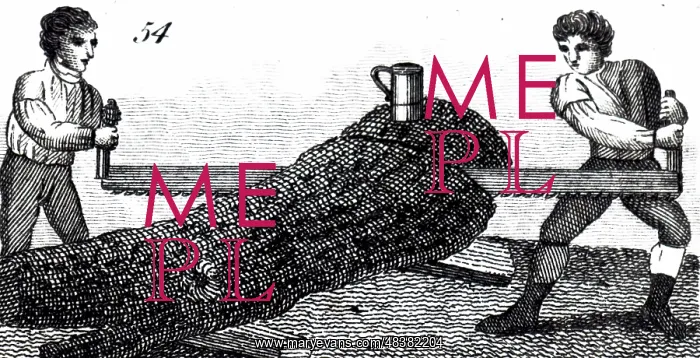  : An engraving depicting the sawing of a tree trunk